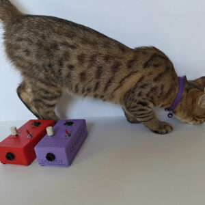 Reamper Boutique Guitar Reamp Box for recording / mixing Bass Vocals and Keys